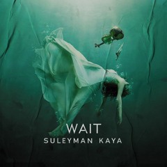 Süleyman Kaya - Wait