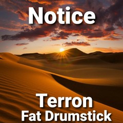 Notice (feat. Terron)