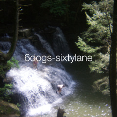 6dogs - sixtylane w/ote.jpeg