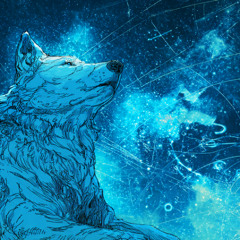 Under the Night Sky