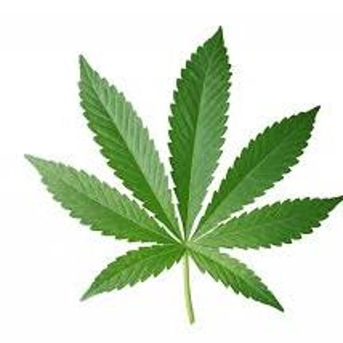 Paluch - M&M (sped up & nightcore) + bass boosted