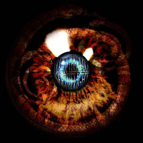 see the light (cranes)