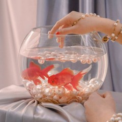 JAMIE - Dolphin (OH MY GIRL Cover)