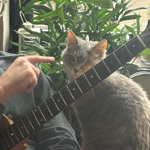 When The Twister Comes