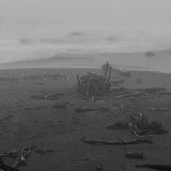 OM.ni (Disquiet0726)