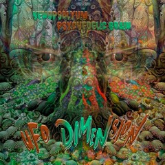Psychedelic Brain & Kenopsyliun - UFO Dimension