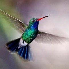 AUD-20210309-WA0084.mp3