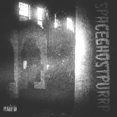 spaceghostpurrp - munnie train (rancidveins flip)