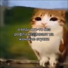 kuvalda - betonomeshalka (cover)