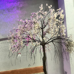 Youth of the fountain