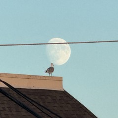 Chris Clement Sept 25' Deep House