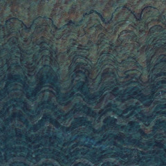 endless summer fields