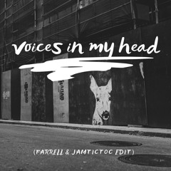 Voices In My Head Kiri Abizz (Farrell & Jamtictoc Edit)