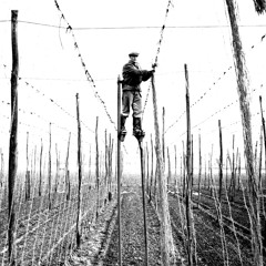 Hop Pickers