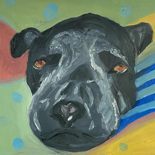 Watchdog