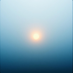 그림자 (Shadowplay)
