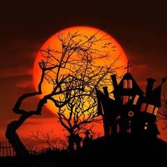Thriller Nights