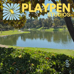 PLAYPEN 008