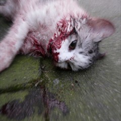 DAKUMФN - lesSg0 {pr0d. snxrkk} #swaggt0pia #dakumon #swagg