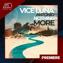 PREMIERE: Vice Luna, Antonio (AR) - Nothing More (Original Mix) [VILLAHANGAR]