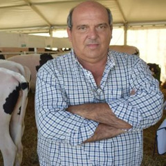 Mauro Caorsi - Holando