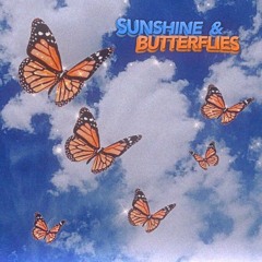 Sunshine & Butterflies w/ Niku (prod. by trabbey)