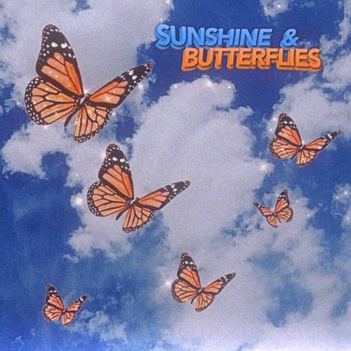 Stream Sunshine & Butterflies w/ Niku (prod. by trabbey) by 