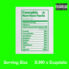 Serving Size - d.mo x Xquisite