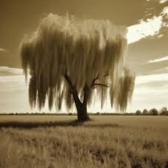 Пігулка депресії - шумить_верба (Rey Edit)