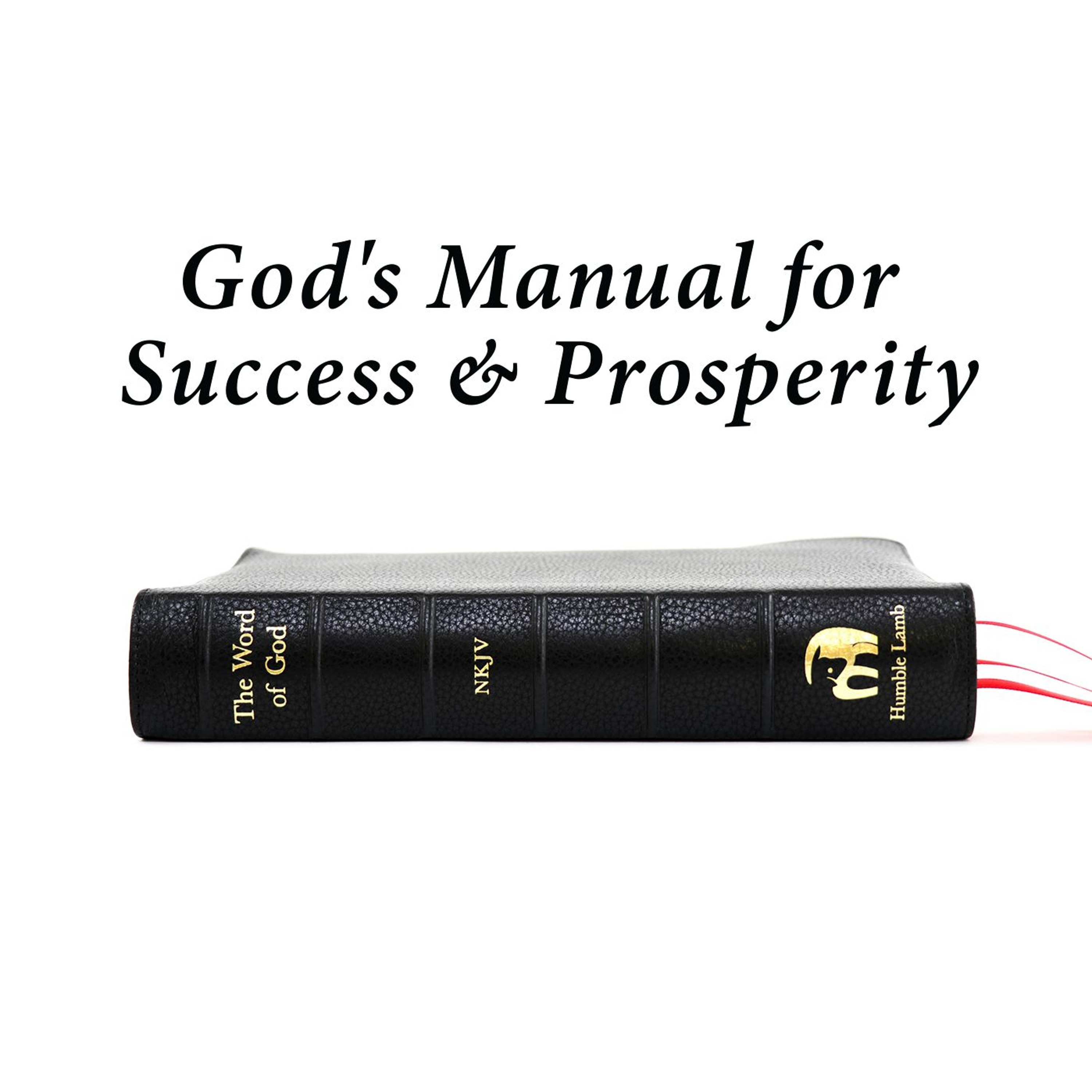 God's Manual for Success & Prosperity episode artwork