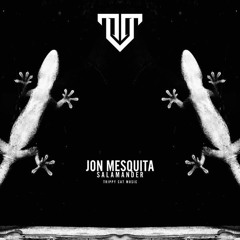Jon Mesquita - Salamander (Original Mix)