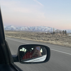 Never Stunt (Ft. KNOENAME)