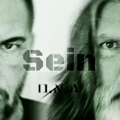 Sein