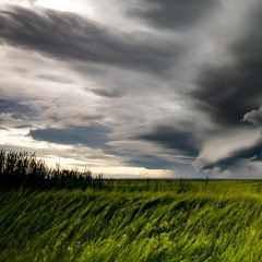 My Land