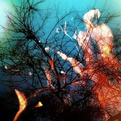 All the possibilities (w/Henry Koek)