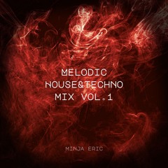 Melodic House & Techno Mix Vol.1