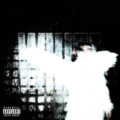 Misperception (feat. zodiak)