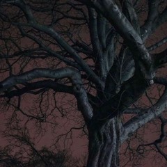 lullaby (2017)