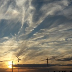 ddleben's/O.f.B.s. (liverec) Homeproduction