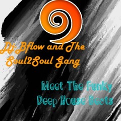 Dj - Bflow And The Soul2Soul Gang  Meet The Funky Deep Beats