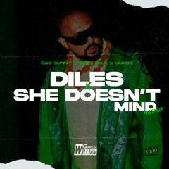 DILES x SHE DOESN'T MIND (William Garezz Mashup) | FREE | LEER DESCRIPCION