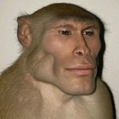 attention × mellstroy(Мурино ФМ)