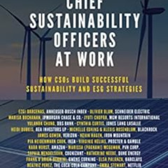 ACCESS EPUB 📒 Chief Sustainability Officers At Work: How CSOs Build Successful Susta