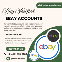 Best 6.0 Site To Buy eBay Accounts