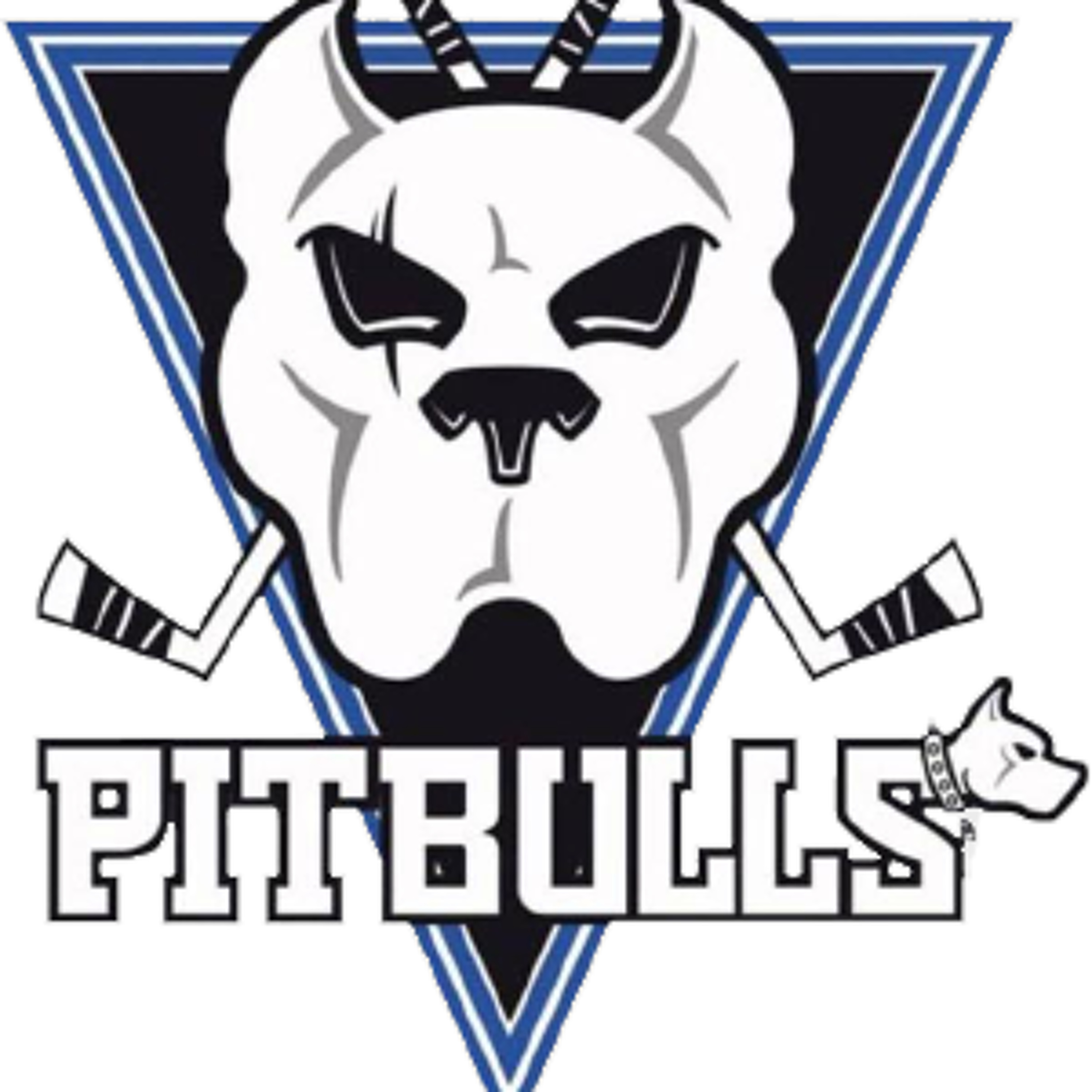 Bristol Pitbulls Official Podcast