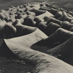 Mina Lord - Just Obey [SUBVERTED]