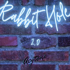 Rabbit Hole 2.0 - Acytone