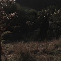 territory (porcupine tree // underworld)
