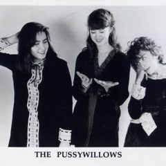 The Pussywillows - Love You More