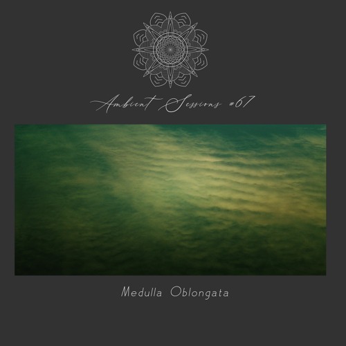Ambient Sessions # 67 - Medulla Oblongata